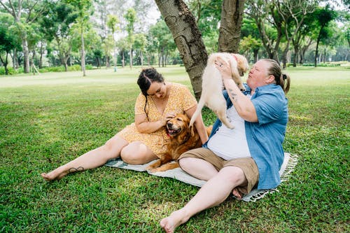 棕色无袖衬衫的女人坐在绿草田与棕色短涂狗在期间 · 免费素材图片