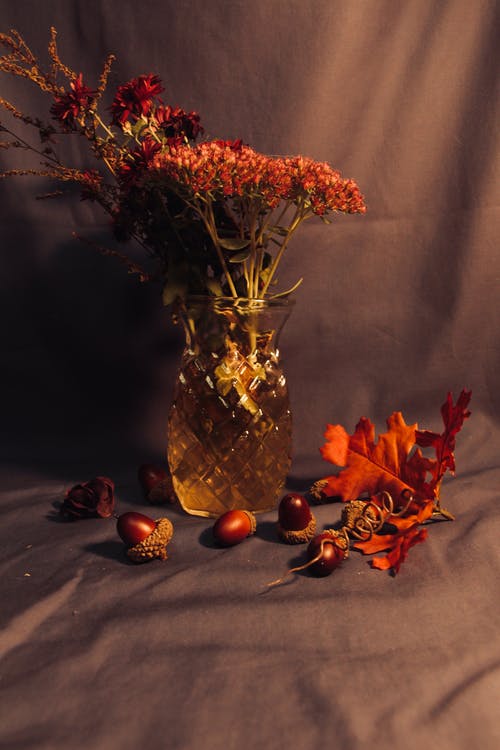 有关垂直拍摄, 玻璃花瓶, 花的免费素材图片