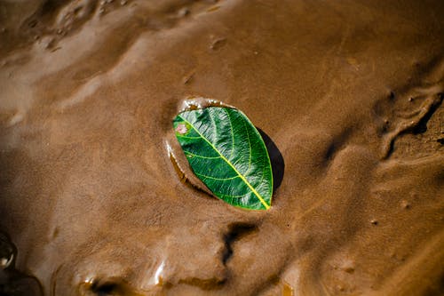 有关不均匀的, 不规则, 介质的免费素材图片
