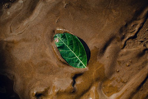 有关一般开销, 不均匀的, 不规则的免费素材图片