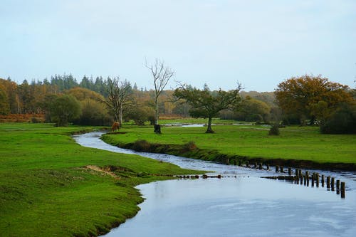 有关autum, 下落, 公园的免费素材图片