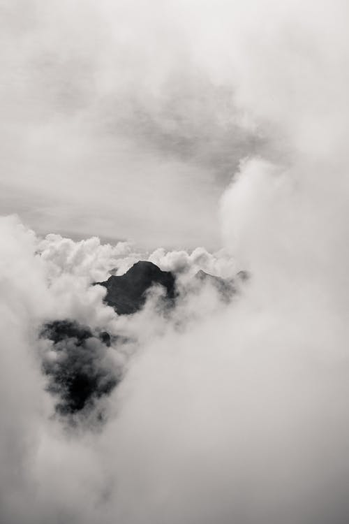 有关bw, 不变, 厚的免费素材图片