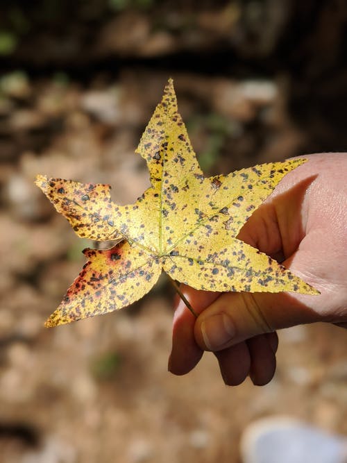 有关垂直拍摄, 手, 握住的免费素材图片