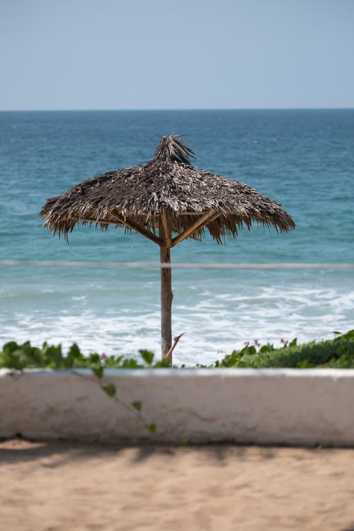 有关乾草, 享受, 假期的免费素材图片