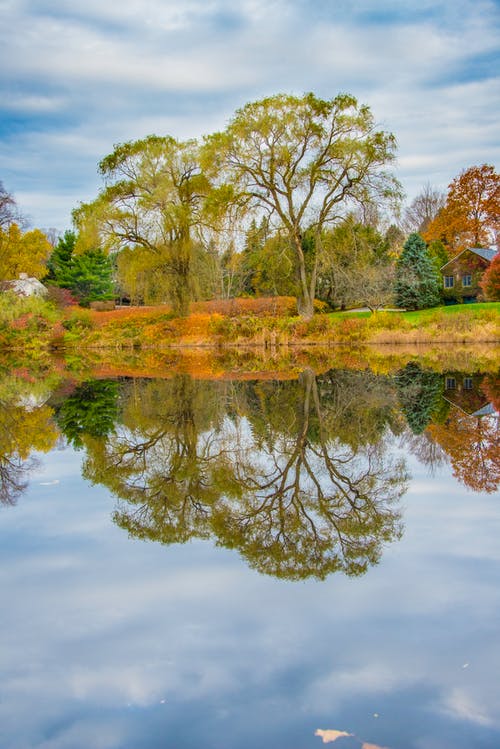 有关下落, 公园, 冷静的免费素材图片