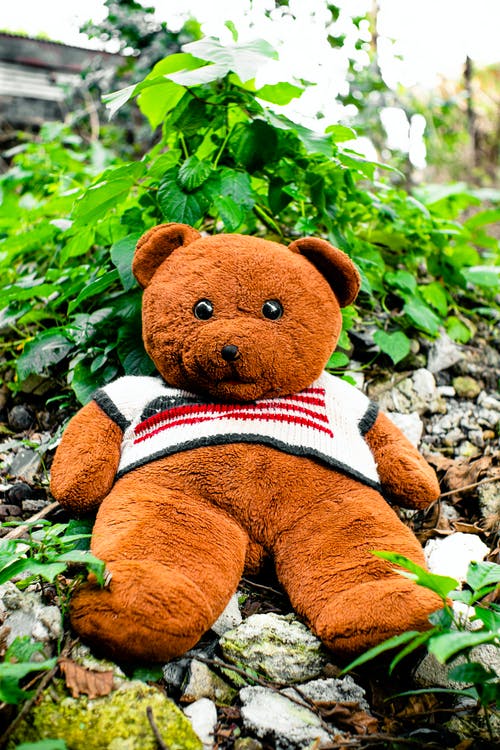 有关上流社会的, 公平正义, 创作的的免费素材图片