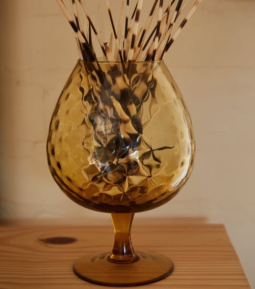 豪猪针在玻璃花瓶里 · 免费素材图片