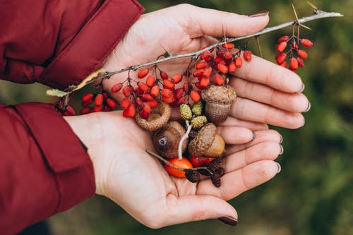 有关一般开销, 下落, 乾燥的免费素材图片
