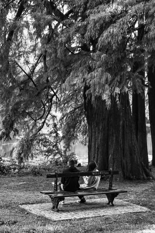 有关单色, 坐, 垂直拍摄的免费素材图片