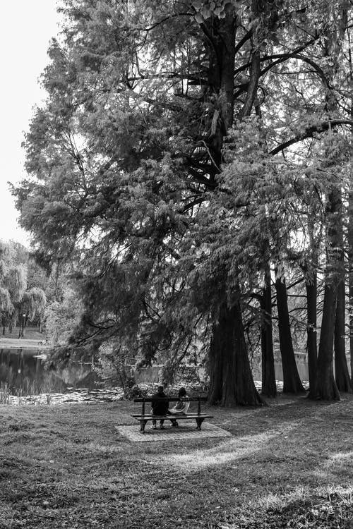 有关单色, 坐, 垂直拍摄的免费素材图片