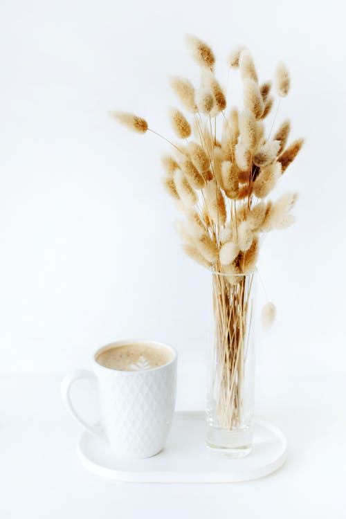 靠近咖啡的干植物花束 · 免费素材图片