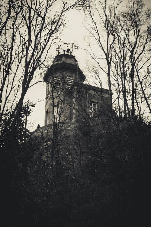 有关单色, 垂直拍摄, 建造的免费素材图片