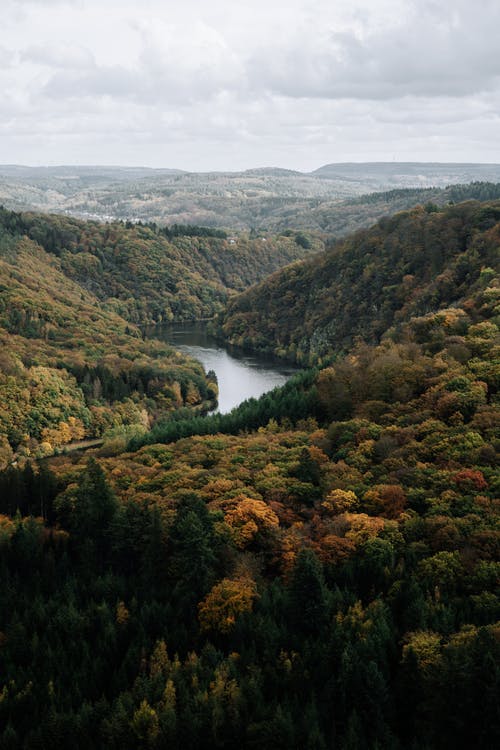山谷与绿色森林和河流 · 免费素材图片
