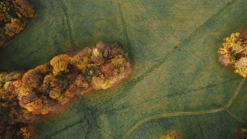 有关下落, 俯视图, 公园的免费素材图片