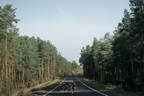 有关樹木, 農村, 远射的免费素材图片