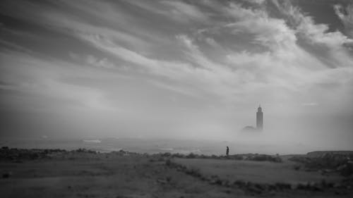 有关不清楚, 單色, 地面射击的免费素材图片