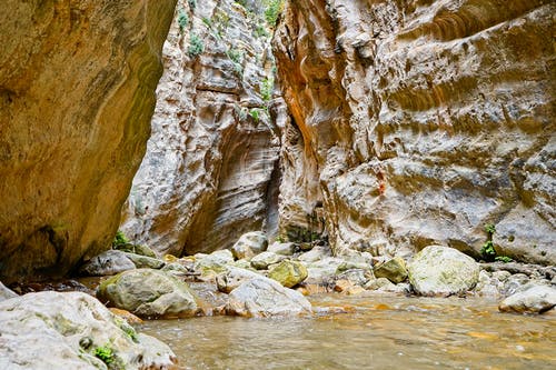 有关不变, 不均匀的, 卵石的免费素材图片