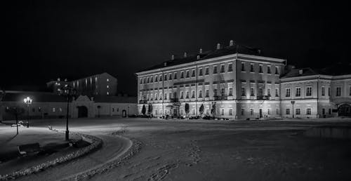 有关bw, 光, 冬季的免费素材图片