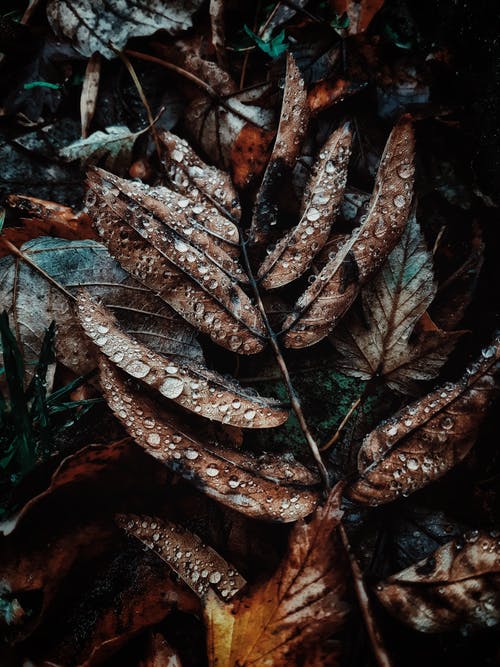 有关地面, 垂直拍摄, 杜斯的免费素材图片