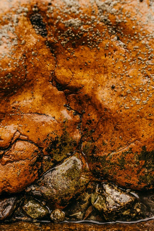 有关Copyspace, 不变, 不均匀的的免费素材图片