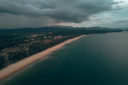 有关土耳其蓝, 增长, 坏心情的免费素材图片