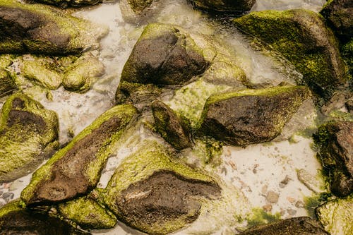 有关不变, 不均匀的, 冷静的免费素材图片