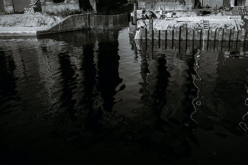 有关bw, 冷静, 地平线的免费素材图片