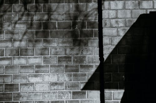 有关bw, 分公司, 区域的免费素材图片