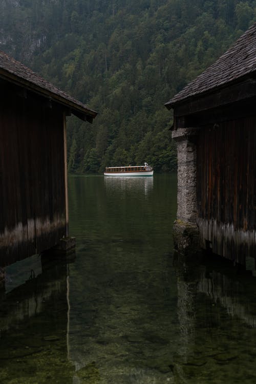 有关冷静, 垂直拍摄, 夏天的免费素材图片