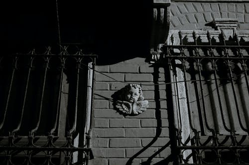 有关bw, 从下面, 低角度的免费素材图片