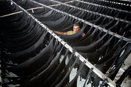 有关世代, 乾的, 人的免费素材图片