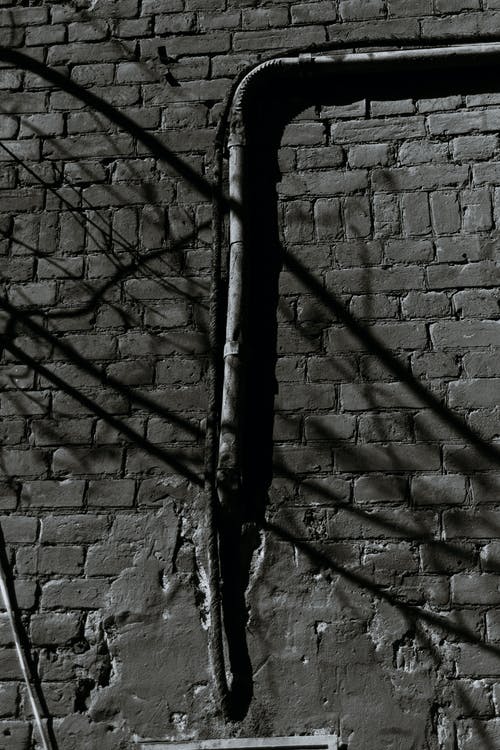 有关bw, 不均匀的, 分公司的免费素材图片