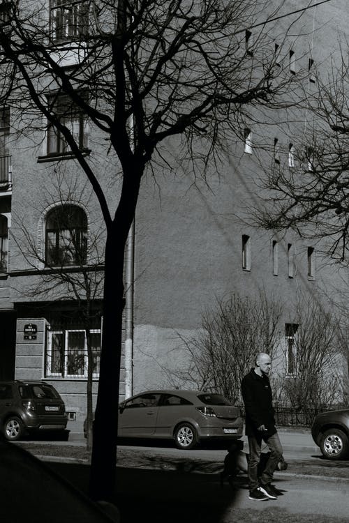 有关bw, 人, 人行道的免费素材图片