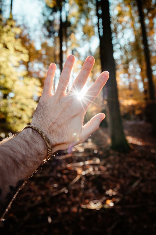 有关垂直拍摄, 宏观, 手的免费素材图片
