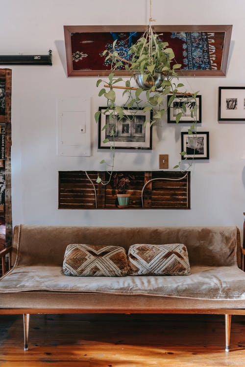 舒适的客厅里舒适的沙发上装饰着植物和相框 · 免费素材图片