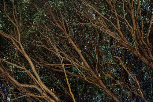 有关不变, 从下面, 低角度的免费素材图片