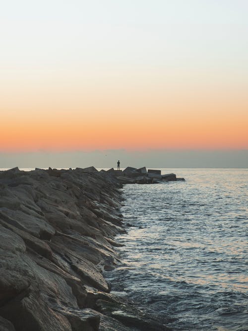 有关人, 剪影, 垂直拍摄的免费素材图片