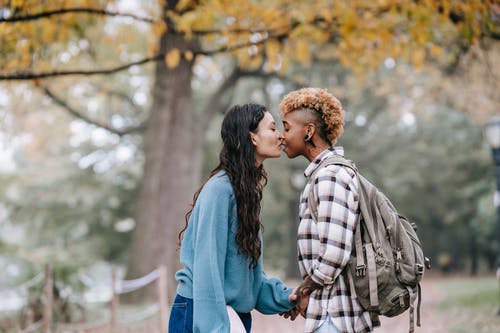 多种族的女同性恋夫妇在秋天公园的小径上温柔地亲吻 · 免费素材图片