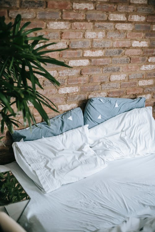 舒适的卧室，盆栽植物的内部 · 免费素材图片