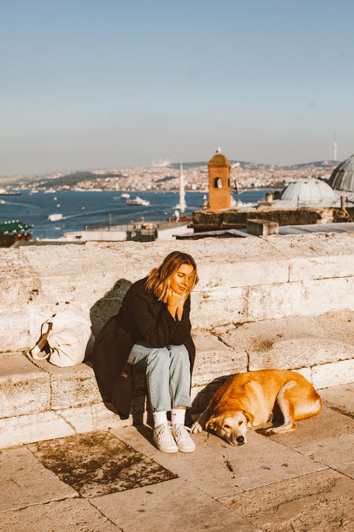 有关休闲, 动物, 国内的免费素材图片