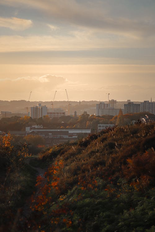 有关下落, 光, 城市的免费素材图片