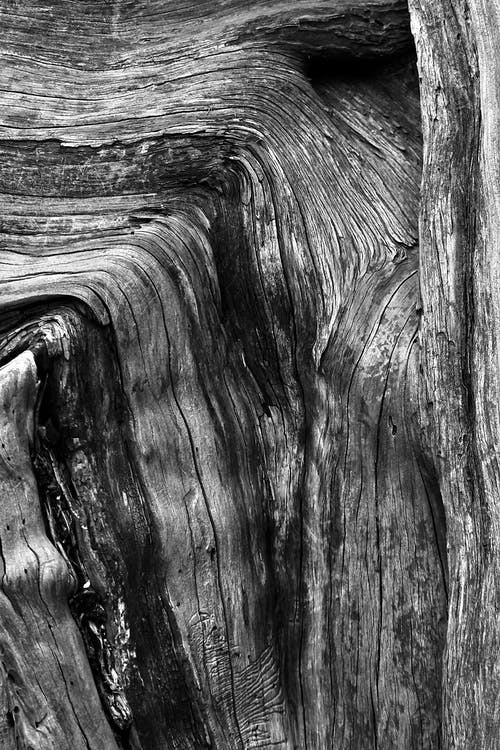 有关單色, 垂直拍摄, 木的免费素材图片