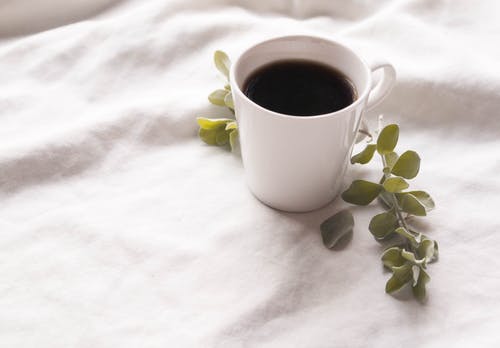 有关咖啡因, 新鲜的咖啡, 树叶的免费素材图片