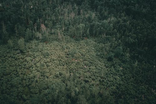 有关Copyspace, 全画幅, 冷静的免费素材图片