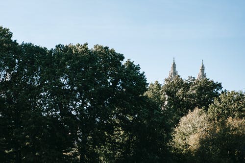 绿色茂密的树木背后的经典塔楼 · 免费素材图片