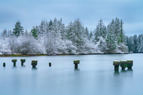 有关下雪的天氣, 冬季, 凍結的的免费素材图片