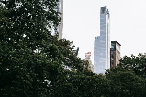 城市与树木的现代摩天大楼 · 免费素材图片