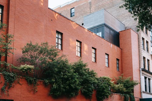 与植物砖建筑的外观 · 免费素材图片