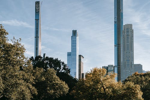 绿树旁的当代摩天大楼 · 免费素材图片