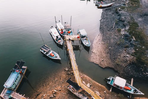 有关公园, 冷静, 和平的的免费素材图片